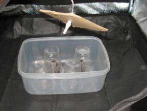 Таблетки Джиффи-7 в контейнере под одноразовыми стаканчиками и с подсветкой